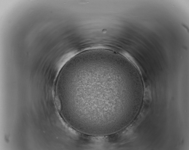 X0000103250813200809041107