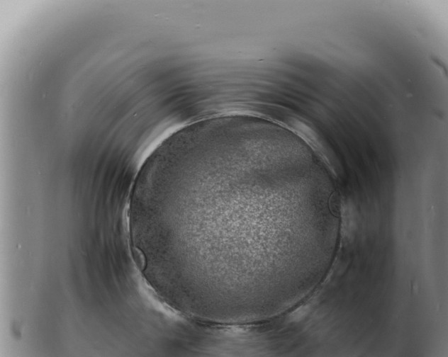 X0000103250814200809041107