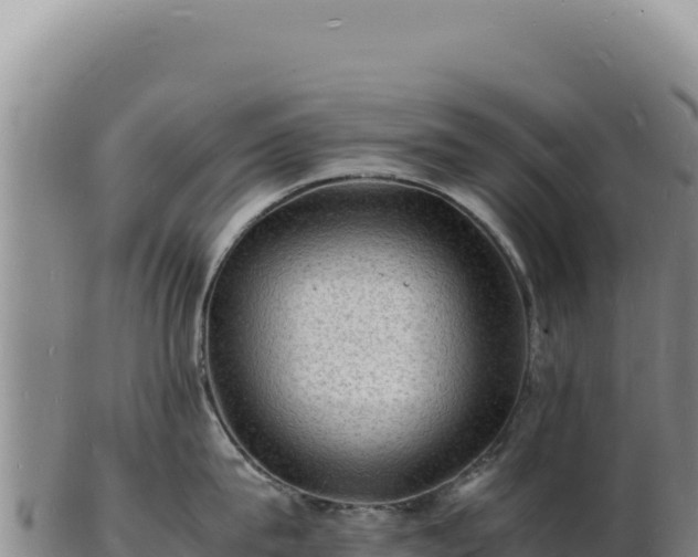 X0000103250815200809041107