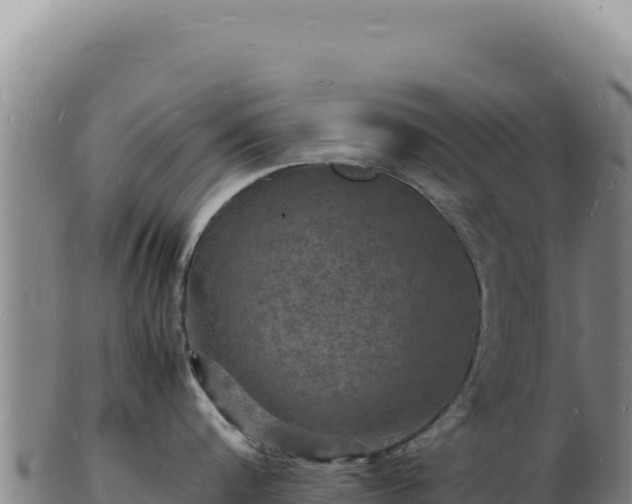 X0000103250816200809041107