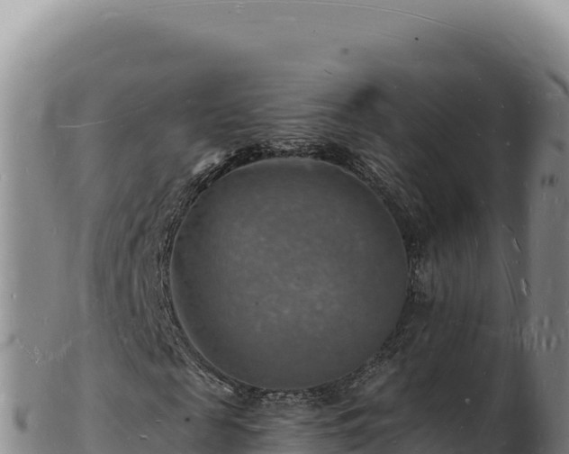 X0000103250817200809041107