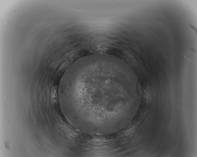 X0000103250818200809041107