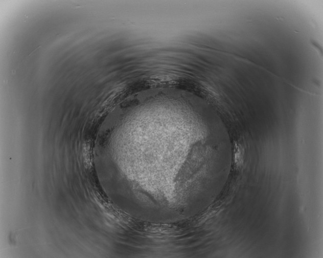 X0000103250819200809041107