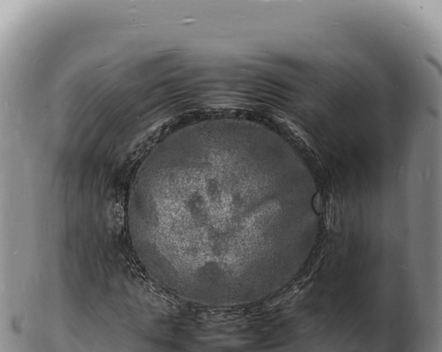X0000103250821200809041107