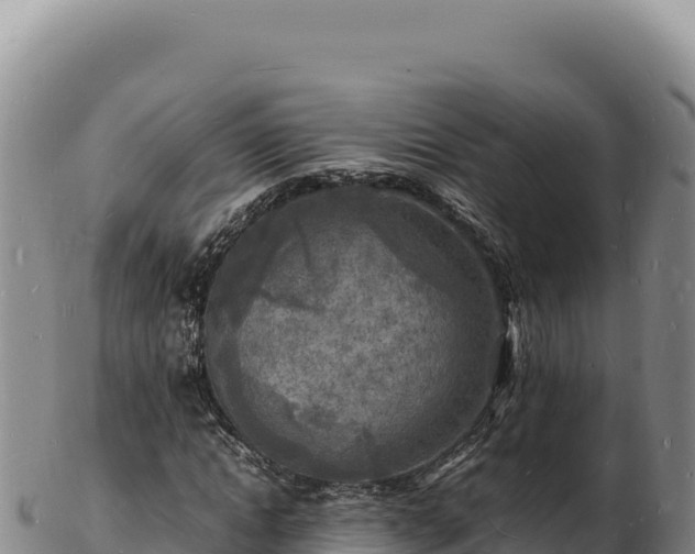 X0000103250822200809041107