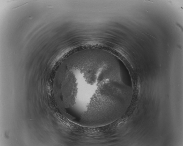 X0000103250823200809041107