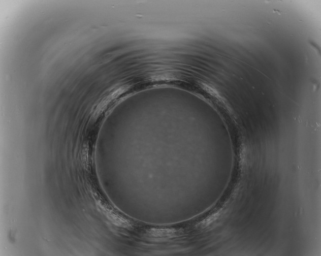 X0000103250825200809041107