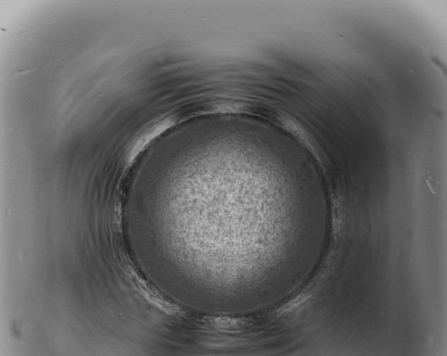 X0000103250827200809041107