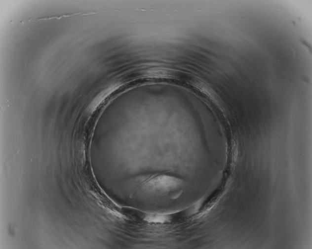 X0000103250829200809041107
