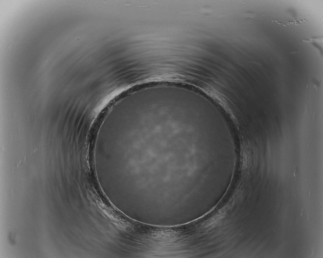 X0000103250830200809041107