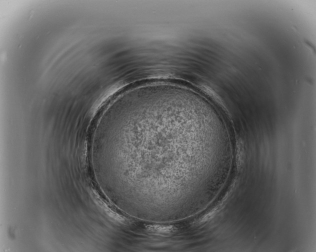 X0000103250831200809041107