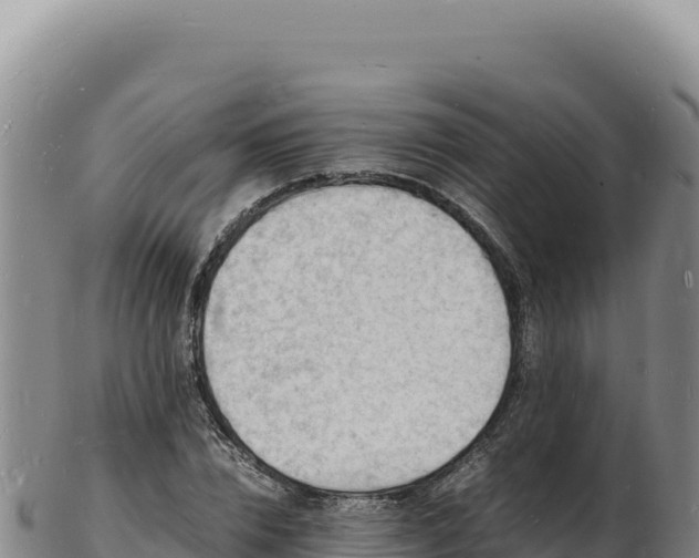 X0000103250832200809041107