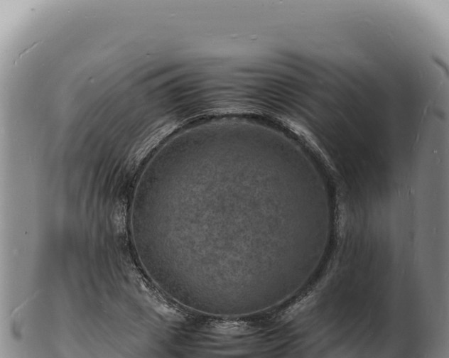X0000103250833200809041107