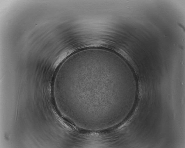 X0000103250834200809041107