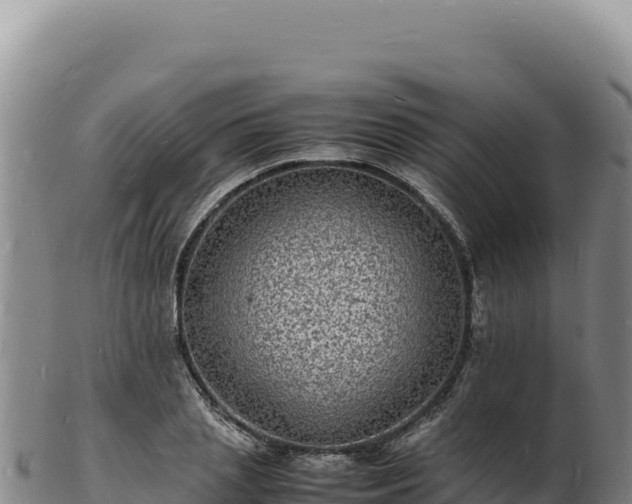 X0000103250837200809041107