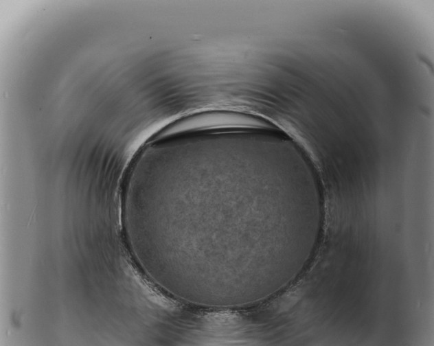 X0000103250838200809041107