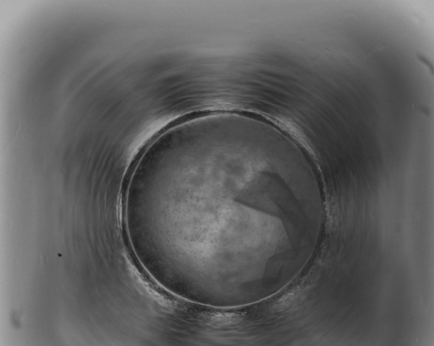 X0000103250839200809041107