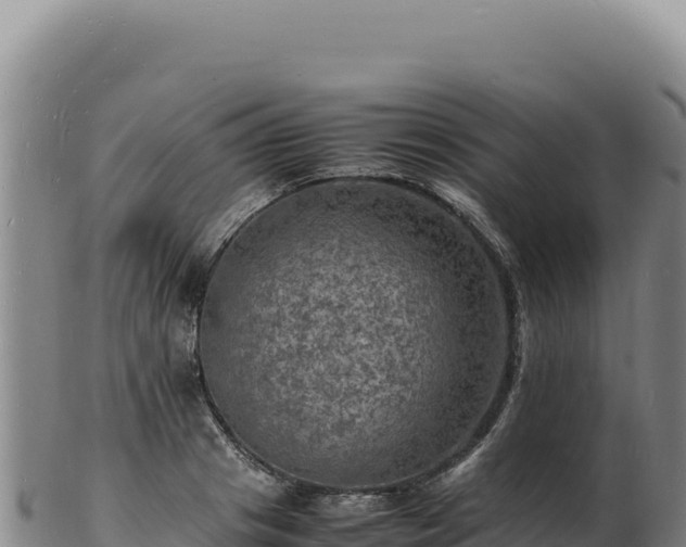 X0000103250841200809041107