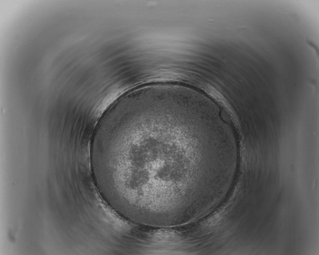 X0000103250842200809041107