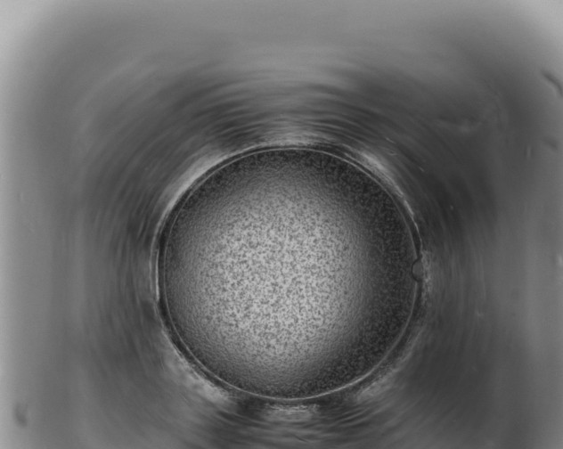 X0000103250843200809041107