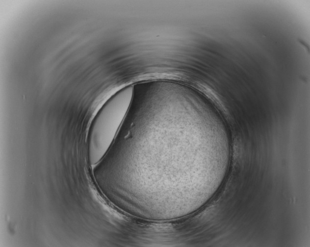 X0000103250844200809041107