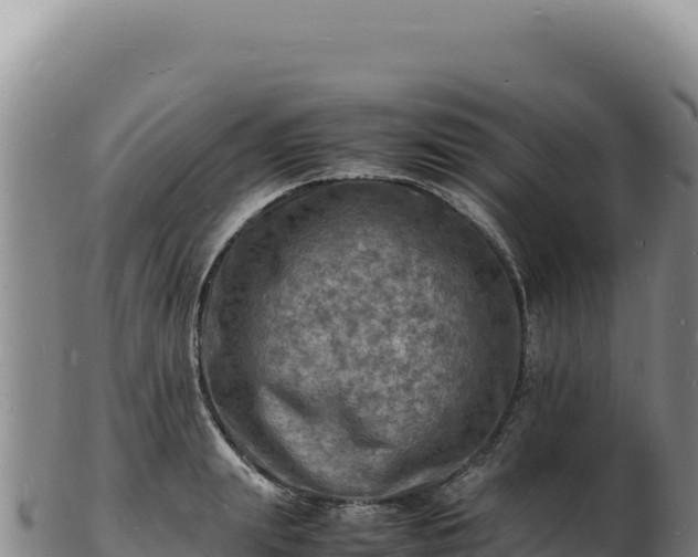 X0000103250847200809041107