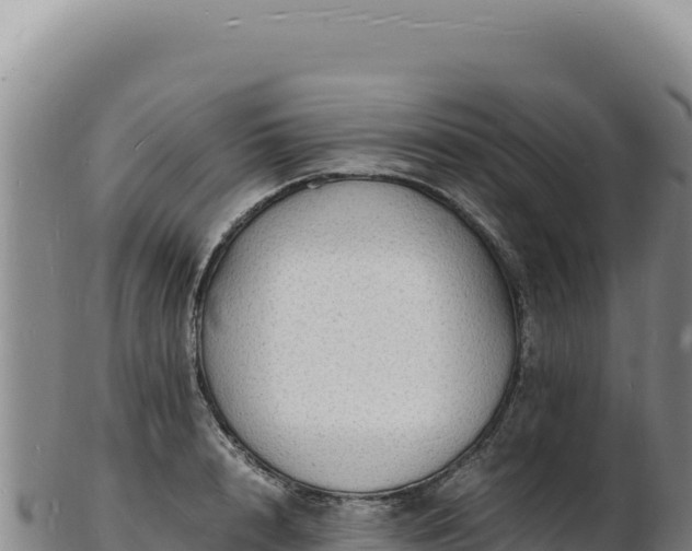 X0000103250848200809041107