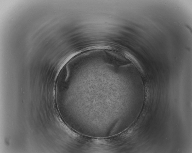 X0000103250852200809041107