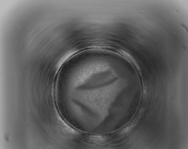 X0000103250855200809041107