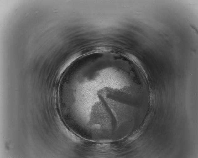 X0000103250859200809041107