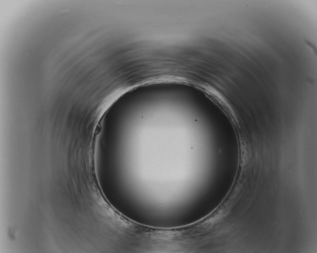 X0000103250860200809041107