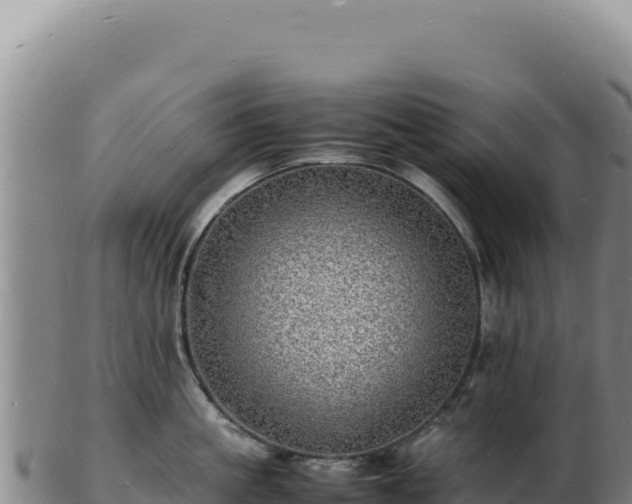 X0000103250861200809041107