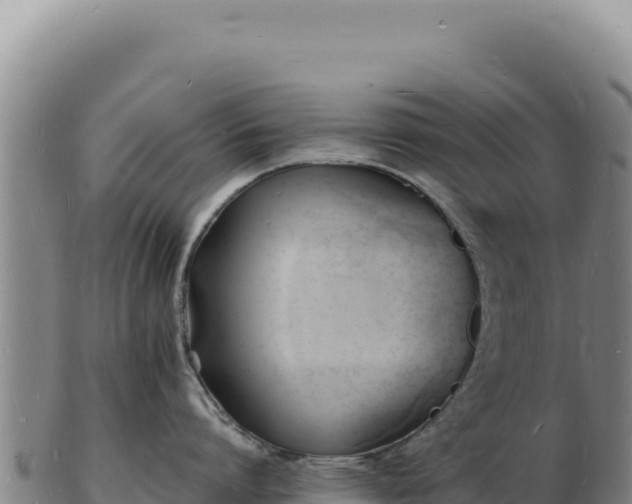 X0000103250864200809041107