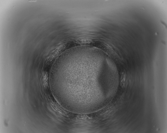 X0000103250866200809041107
