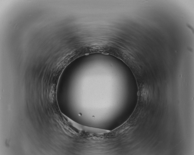 X0000103250868200809041107