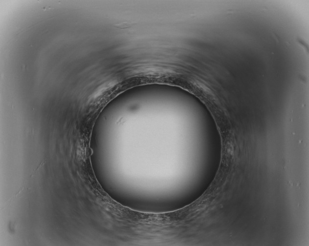 X0000103250869200809041107