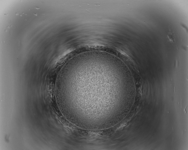 X0000103250870200809041107