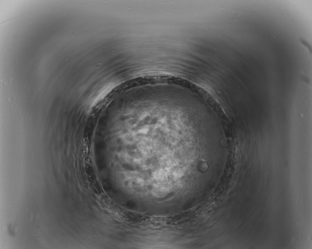 X0000103250871200809041107
