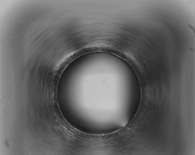 X0000103250872200809041107