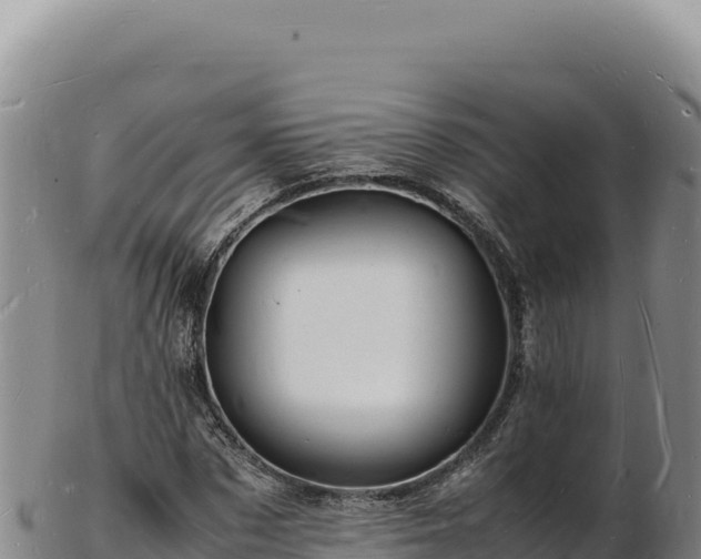 X0000103250873200809041107