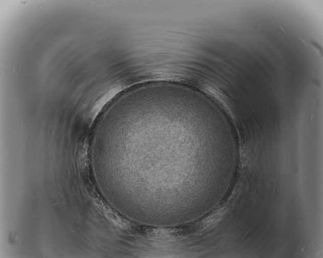 X0000103250875200809041106