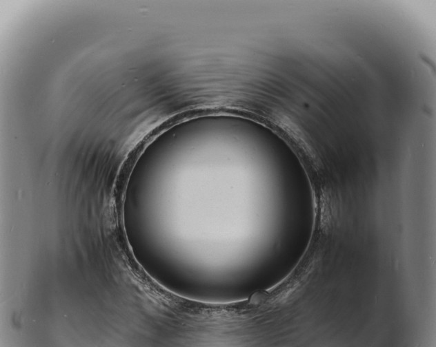 X0000103250876200809041106
