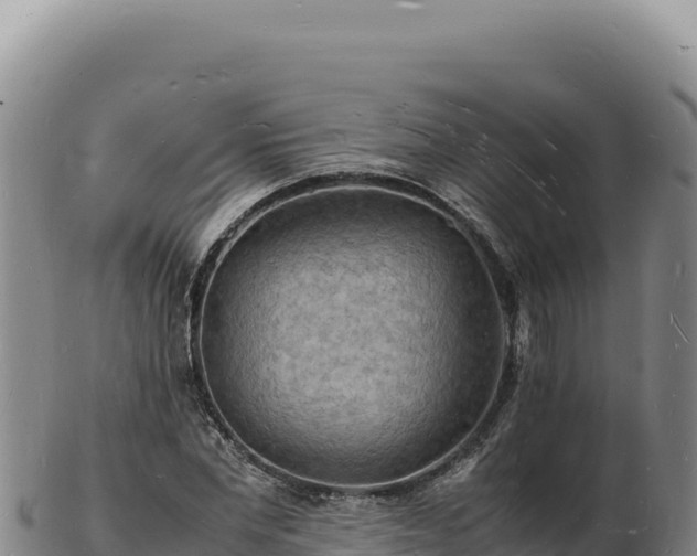 X0000103250877200809041106