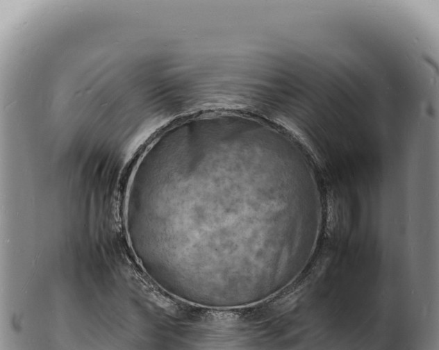 X0000103250878200809041106