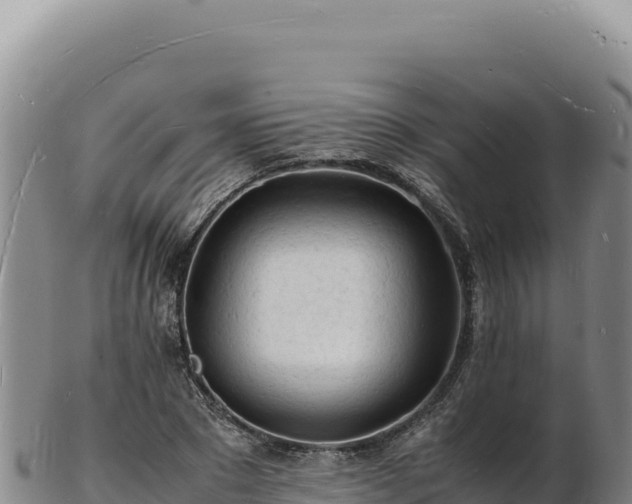 X0000103250881200809041106