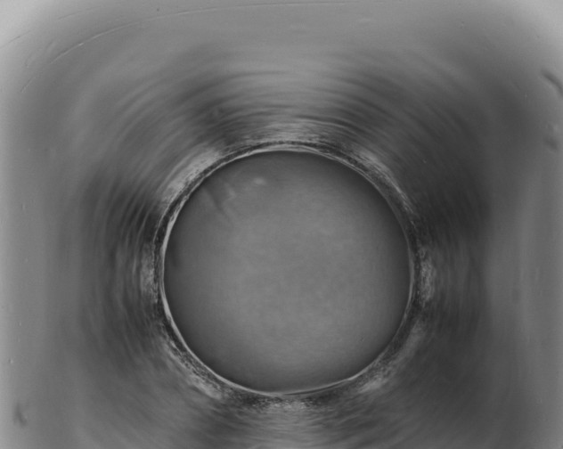 X0000103250882200809041106