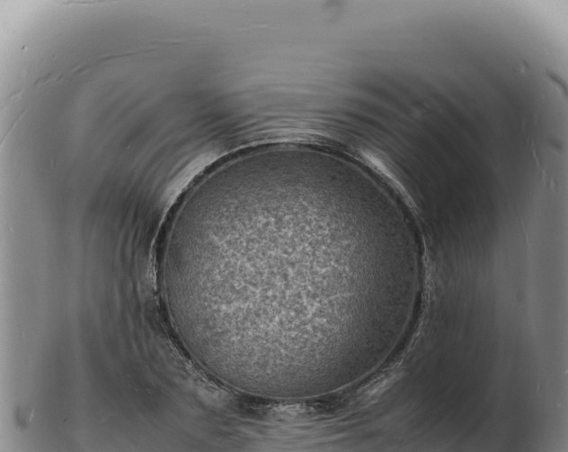 X0000103250883200809041106