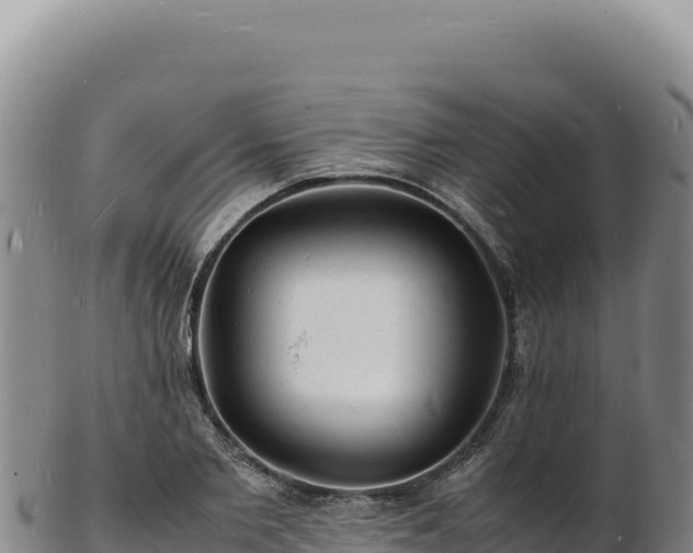 X0000103250885200809041106