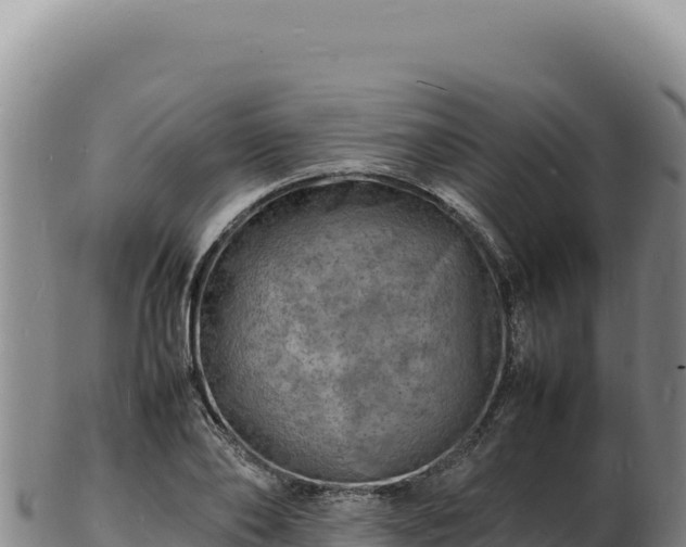 X0000103250886200809041106