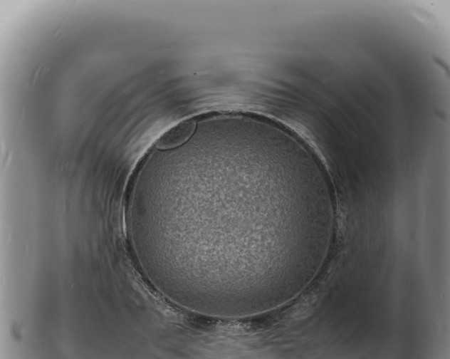 X0000103250887200809041106